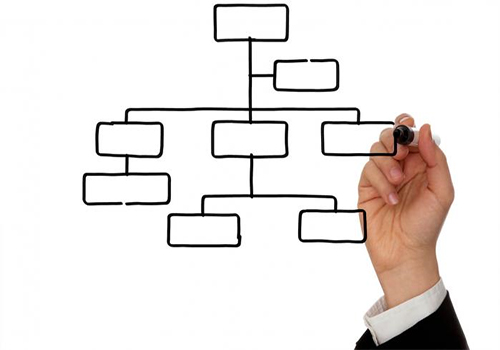 Estructura organizacional